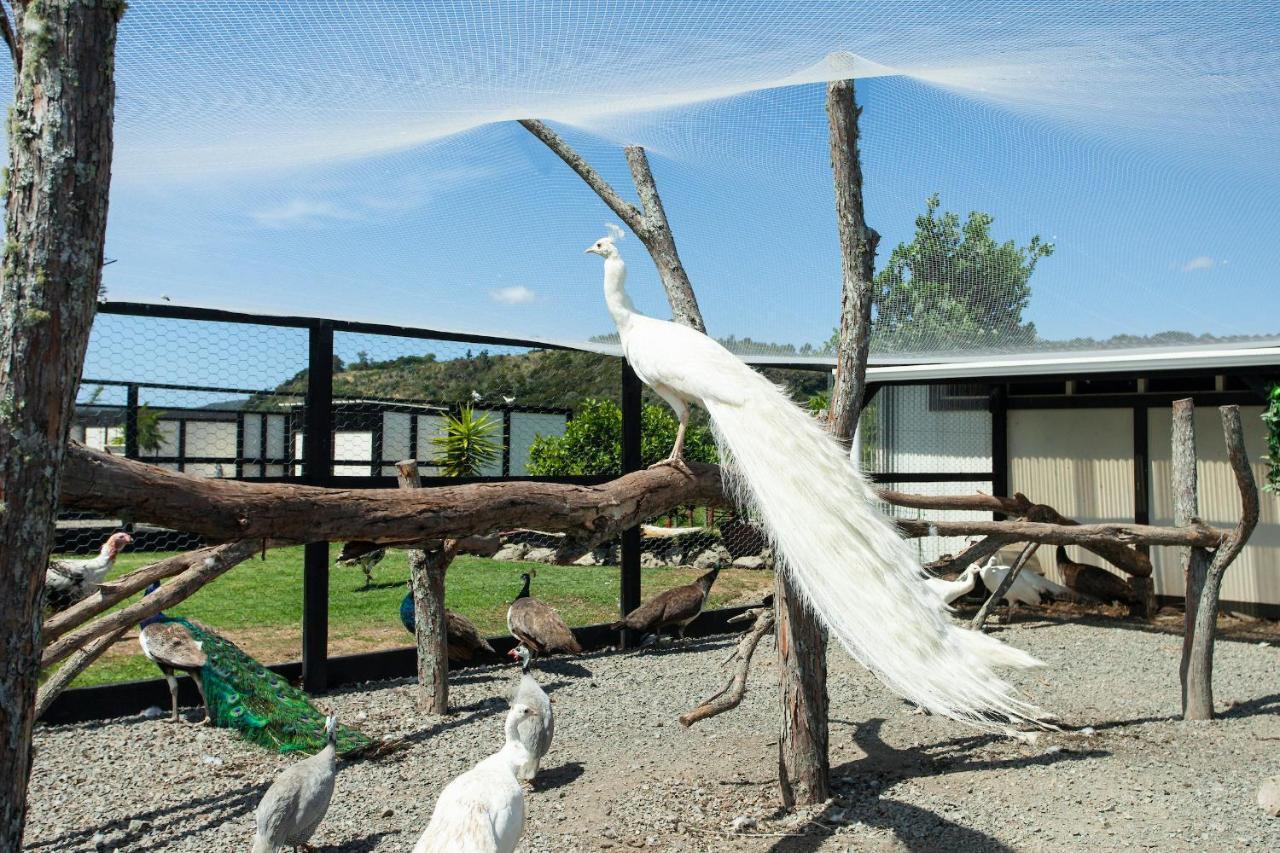 Peacock Lodge In Ngunguru Exterior photo